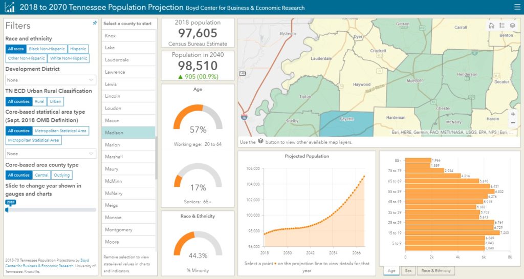 Screen capture of the 2018 population projections dashboard interface