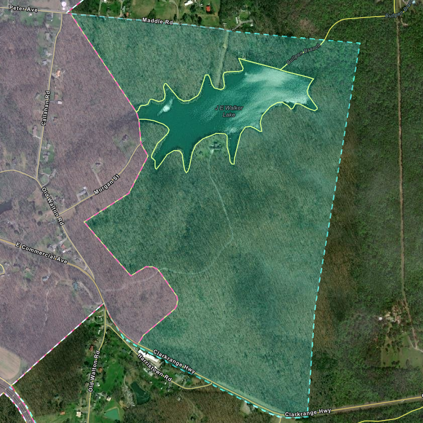Aerial photograph showing portion of Monterey, TN city limits